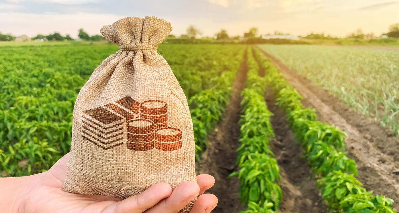 Agricultural farming landscape